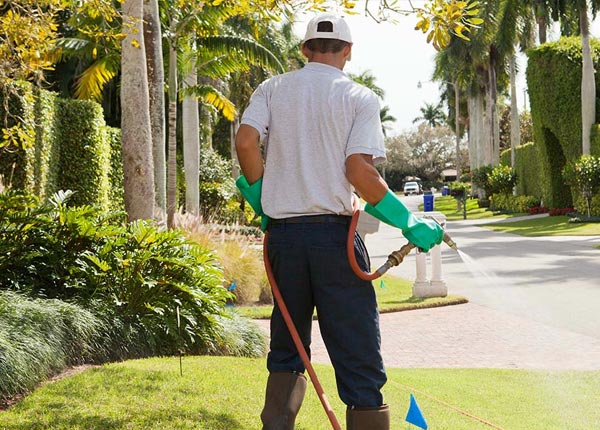 About Carrizozo NM Pest Control